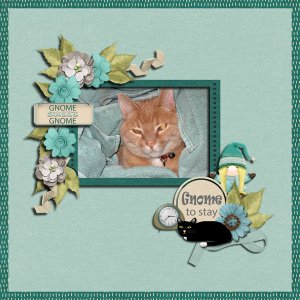 Gnome to Stay