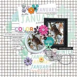 Color Me Happy