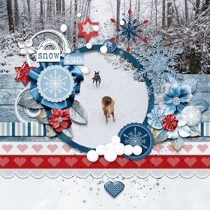 Snow Fun