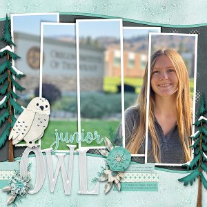 ~Junior Owl~