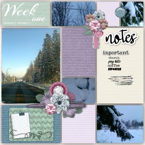 January week 1