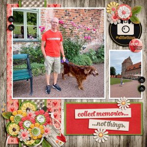 Collect Memories