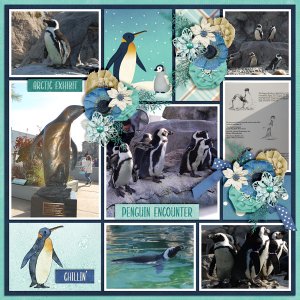 Penguin-Encounter