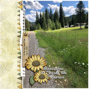JANUARY 2022 COLOR CHALLENGE - ON THE LANE WHERE I LIVE