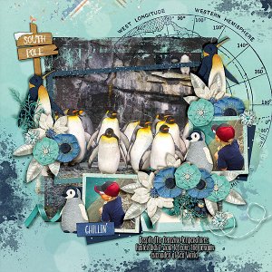 penguins-521