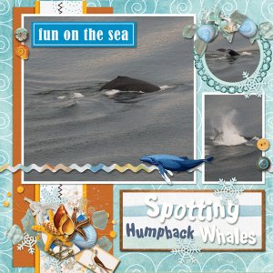 Spotting Whales
