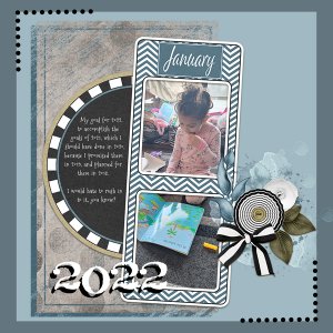January Challenge Seataclily