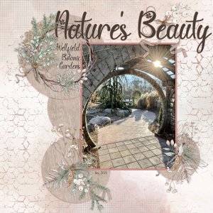 Nature's Beauty