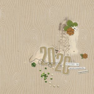 2020 Title Page