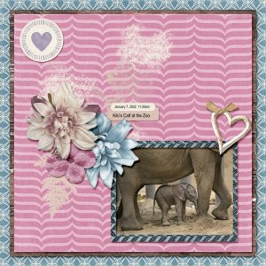Baby Elephant