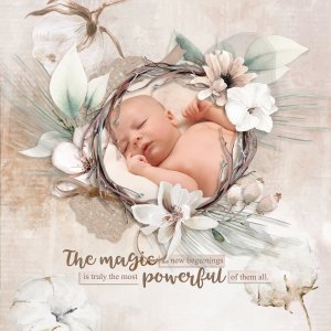 The magic of new beginnings