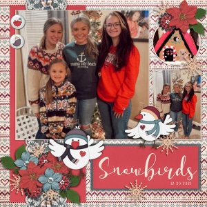 Snowbirds