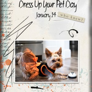 ATC 2022-002 National Dress Up Your Pet