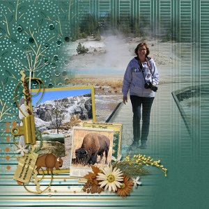 Yellowstone park II