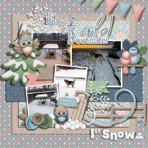 1st Snow of 2022