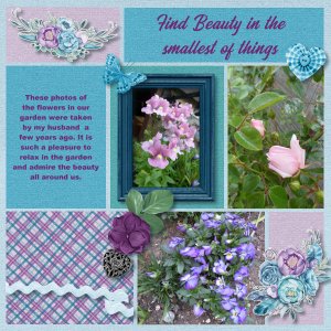 Find Beauty in the smallest of things