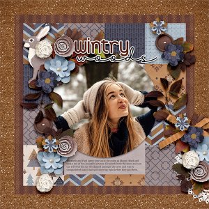 Wintry Woods