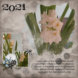 Focus Group 2 Template #4-Miss Fish