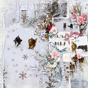 Snow Play