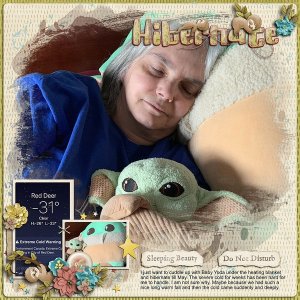 Hibernate Sleeping Beauty Do Not Disturb