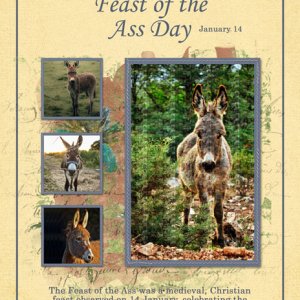Feast of the Ass Day