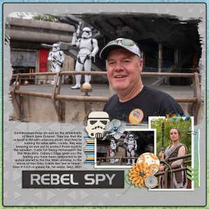 Rebel Spy