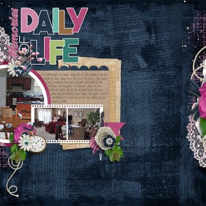 Memories-of-Daily-Life