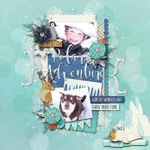 Polar Adventure