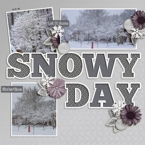 Snowy Day
