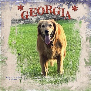 GSMaskCh0122-Georgia051321