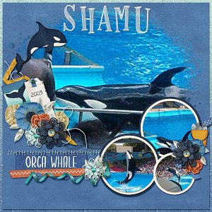 Shamu Orca Whale