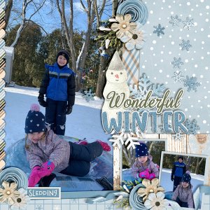 Wonderful-Winter_