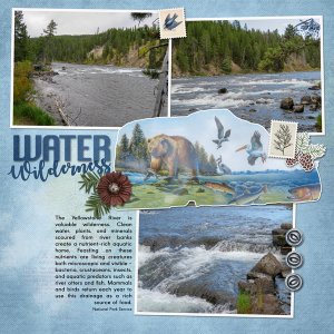 Water Wilderness