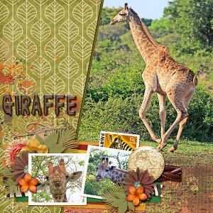 Giraffe