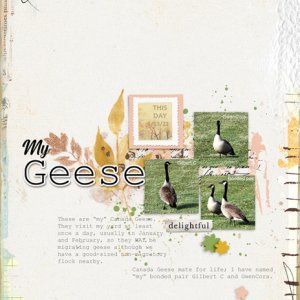My Geese