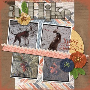 Hiking_Sequoia