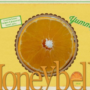 Honeybells