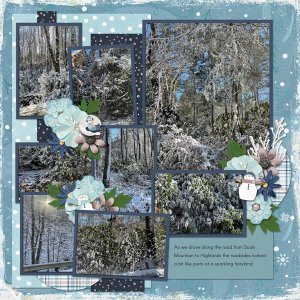 Winter Fairyland