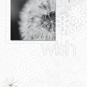 wish