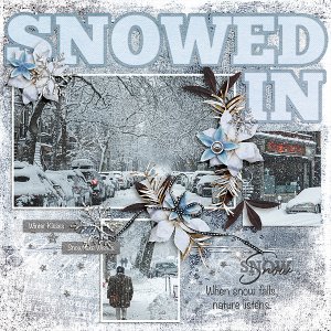 Snowed In