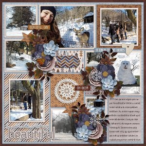 Our wintry woods