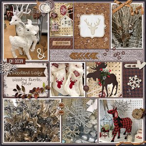 Woodsy Rustic Decor