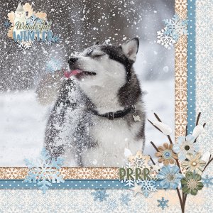 Scrap-Lift Challenge ~ January 2022