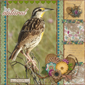 Be Natural Eastern Meadowlark