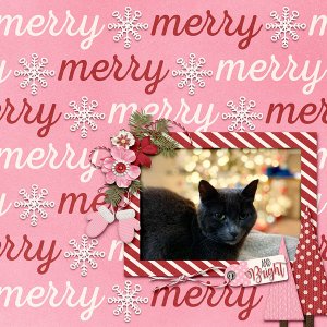 ~Merry and Bright~
