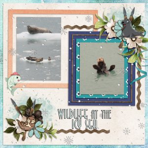 Wildlife at the icy sea