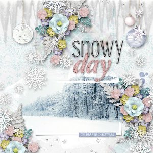 Snowy Day