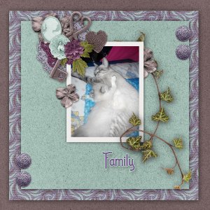 Family