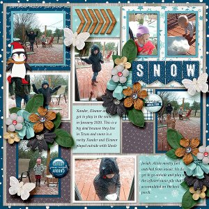 Texas Snow