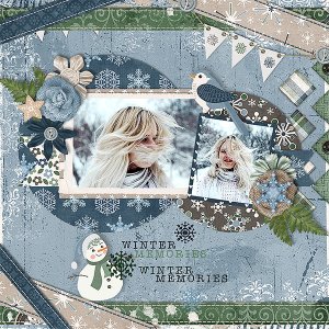 Winter Memories